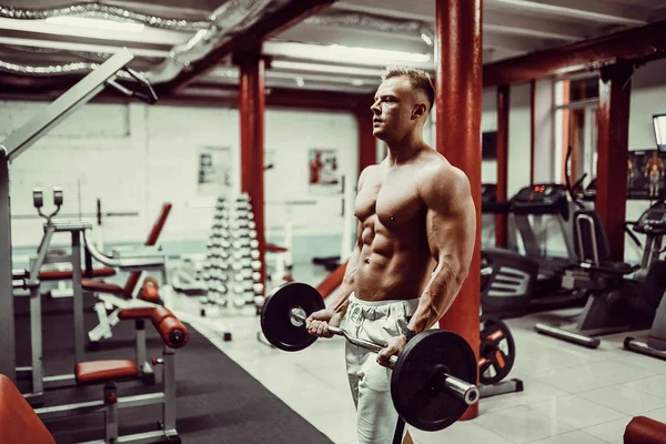 Strong bodybuilder with six pack, perfect abs, shoulders, biceps, triceps  and chest, personal fitness trainer flexing his muscles in smoke Stock  Photo