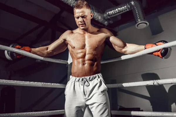 Svalnatý profesionální kopací boxer odpočívající na provazech v rohu ringu při tréninku na další zápas — Stock fotografie