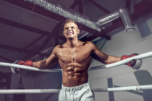 muscular professional kick boxer resting on the ropes in the corner of the ring while training for the next match