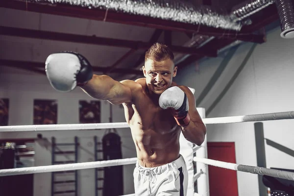 Boxere. Jistý mladý boxer na boxerském ringu — Stock fotografie