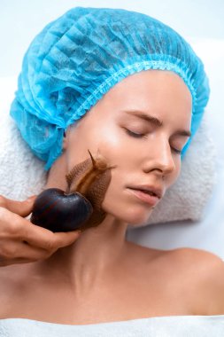 Young woman undergoing treatment with giant Achatina snails in beauty salon clipart