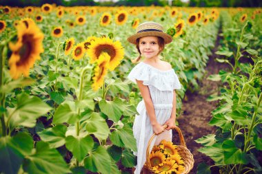 Beyaz elbiseli, hasır şapka bir sepet dolu Ayçiçeği tarlası kameraya gülümseyen ayçiçeği ile küçük kız