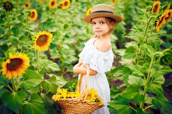 Menina em um vestido branco, um chapéu de palha com uma cesta cheia de girassóis sorrindo para a câmera em um campo de girassóis — Fotografia de Stock