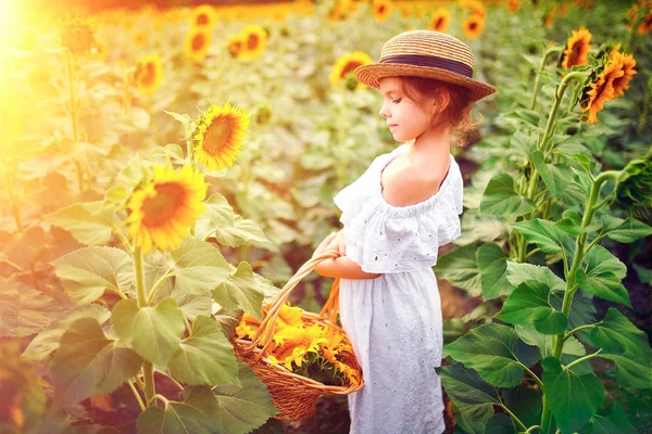 穿着白色连衣裙的小女孩, 一顶满是向日葵的草帽, 在一张向日葵的田野里微笑着看着照相机。 — 图库照片