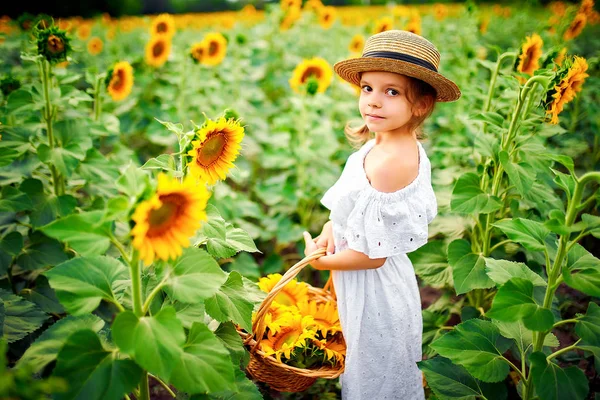 Menina em um vestido branco, um chapéu de palha com uma cesta cheia de girassóis sorrindo para a câmera em um campo de girassóis — Fotografia de Stock