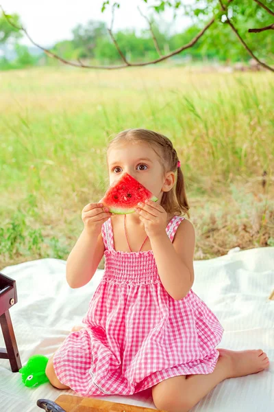 Retrato divertido de una niña increíblemente hermosa comiendo sandía, bocadillo de fruta saludable, adorable niño pequeño jugando en un prado soleado en un día caluroso de verano — Foto de Stock