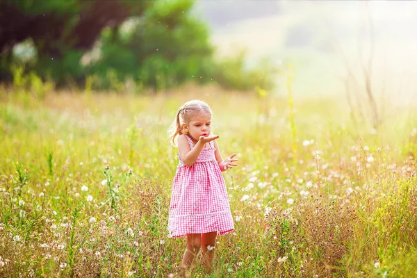 Grappig klein meisje spelen in de zomer op de natuur. Gelukkig kindertijd concept — Stockfoto