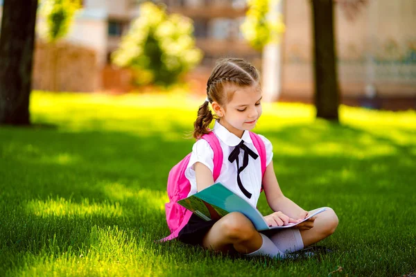 レッスンの後に草の上に座ってピンクのバックパックを持つ小さな女子高生は、本や学習のレッスンを読んで、アイデア、教育と学習の概念を考えます — ストック写真
