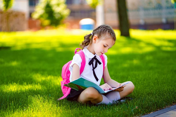 レッスンの後に草の上に座ってピンクのバックパックを持つ小さな女子高生は、本や学習のレッスンを読んで、アイデア、教育と学習の概念を考えます — ストック写真