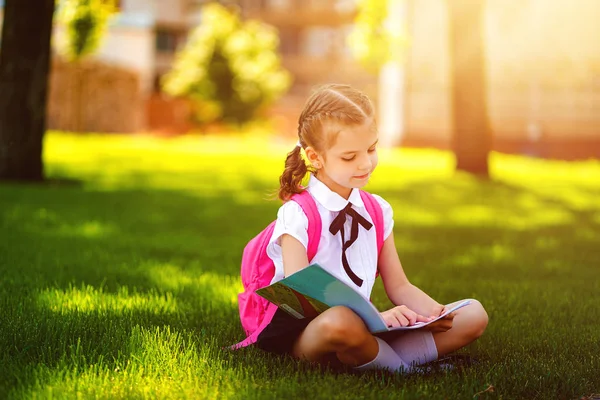 レッスンの後に草の上に座ってピンクのバックパックを持つ小さな女子高生は、本や学習のレッスンを読んで、アイデア、教育と学習の概念を考えます — ストック写真