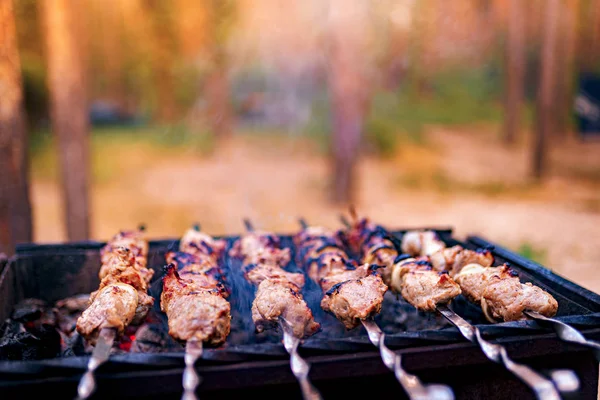 Cocción a la parrilla de kebab en pincho de metal. Carne asada cocinada en barbacoa. Plato oriental tradicional, shish kebab. Parrilla en carbón y llama, picnic, comida callejera —  Fotos de Stock