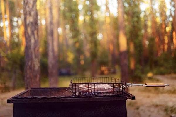 Salchicha a la parrilla en llamas en el picnic —  Fotos de Stock