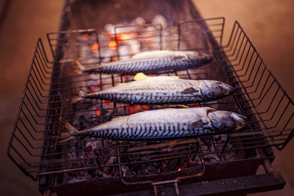 Ryby z rusztu z przyprawami na ogień — Zdjęcie stockowe