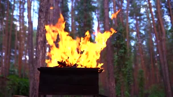 Oheň v grilu, zapalování plamene a kuželovitý hořící přístroj — Stock video