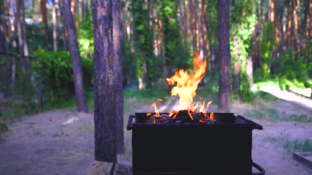 Feu dans le barbecue, flamme allumée et appareils de combustion coniques — Video