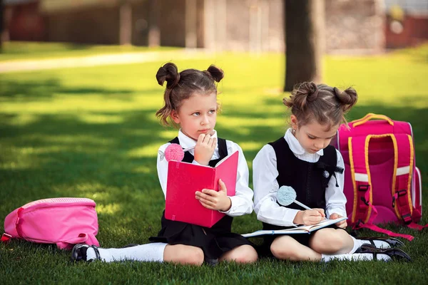 Dos niñas de la escuela con mochila rosa sentadas en la hierba después de las lecciones y las ideas de pensamiento, leer el libro y las lecciones de estudio, escribir notas, la educación y el concepto de aprendizaje —  Fotos de Stock