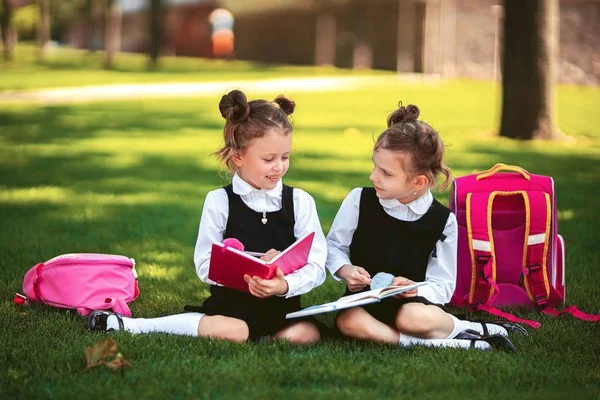 Duas meninas da escola com mochila rosa sentado na grama depois das aulas e ler livro ou estudar aulas, ideias de pensamento, educação e conceito de aprendizagem — Fotografia de Stock