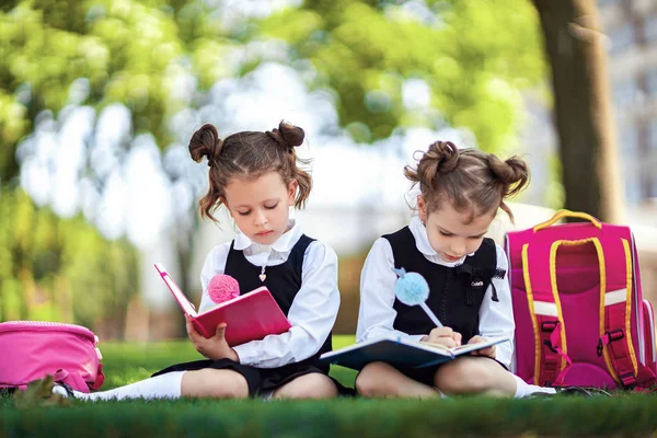 Dos niñas de la escuela con mochila rosa sentadas en la hierba después de las lecciones y leer el libro o lecciones de estudio, ideas de pensamiento, la educación y el concepto de aprendizaje —  Fotos de Stock