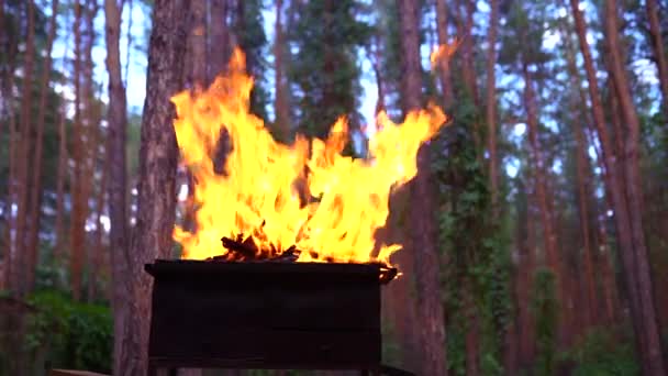 Φωτιά σε μπάρμπεκιου, αναμμένη φλόγα και κωνική πυροσβεστική συσκευή — Αρχείο Βίντεο
