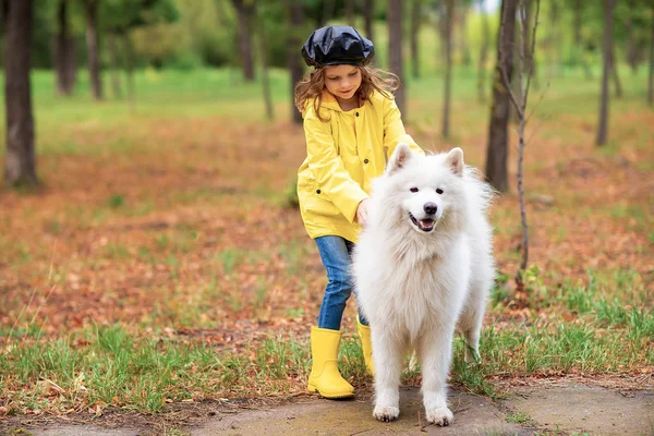 야외 공원에서 아름 다운 강아지와 함께 산책에 사랑 스러운 여자 — 스톡 사진