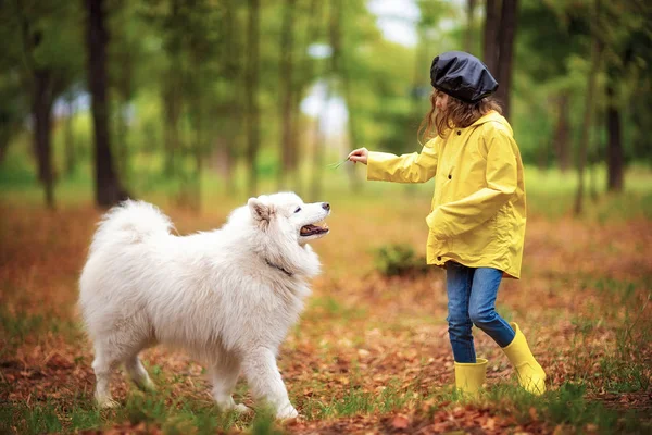 Любимая девушка на прогулке с красивой собакой в парке под открытым небом — стоковое фото