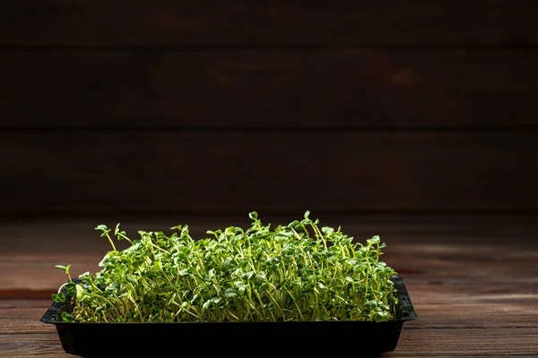 Primer plano de los microgreens de brócoli en la caja de madera. Brotando Microgreens. Germinación de semillas en casa. Concepto de alimentación vegana y saludable. Semillas de brócoli germinadas, Micro greens. Crecimiento de brotes — Foto de Stock