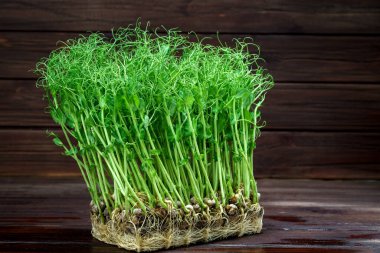 Eski ahşap masada mikroyeşil bezelye filizleri. Vejetaryen ve sağlıklı beslenme konsepti. Büyüyen filizler