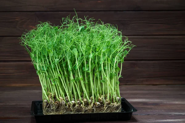 Brotes de guisantes microverdes en una vieja mesa de madera. Concepto de alimentación vegana y saludable. Crecimiento de brotes — Foto de Stock