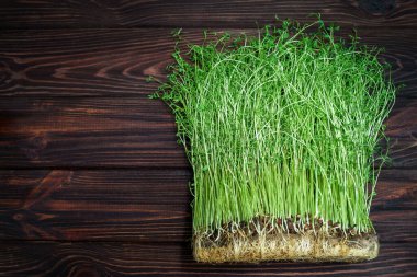 Eski ahşap masada mikroyeşil bezelye filizleri. Vejetaryen ve sağlıklı beslenme konsepti. Büyüyen filizler