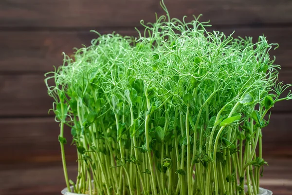Микрозеленый горошек на деревянном столе. Веганское и здоровое питание. Растущая капуста — стоковое фото