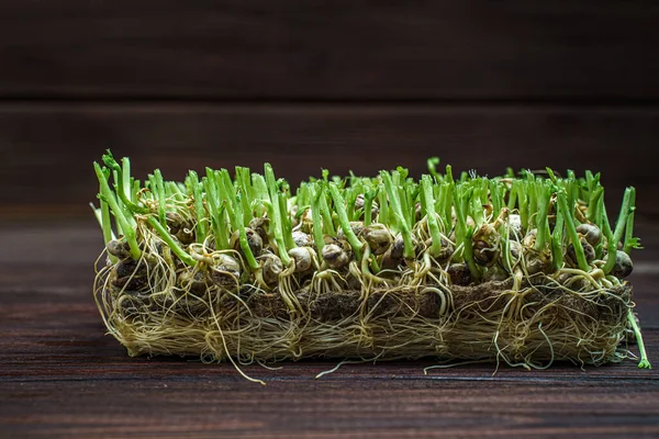 Brotes de guisantes microverdes cortados en una vieja mesa de madera. Concepto de alimentación vegana y saludable. Crecimiento de brotes — Foto de Stock