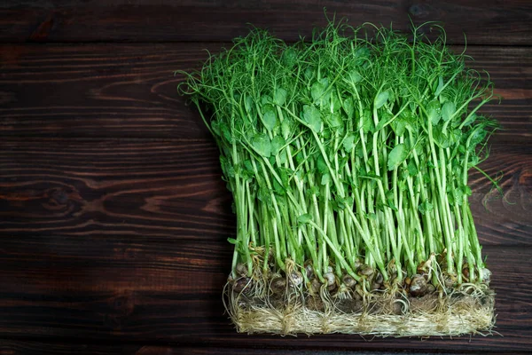 Brotes de guisantes microverdes en una vieja mesa de madera. Concepto de alimentación vegana y saludable. Crecimiento de brotes — Foto de Stock