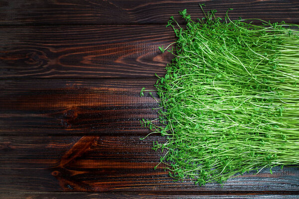 Clover sprouts on wood table background top view. Sprouted vegetable seeds for raw diet food, micro green healthy eating concept