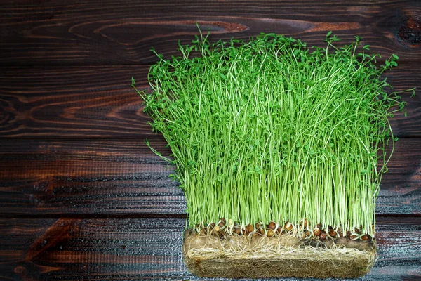 Brotes de trébol sobre fondo de mesa de madera. Semillas vegetales germinadas para alimentos de dieta cruda, concepto de alimentación saludable micro verde . — Foto de Stock