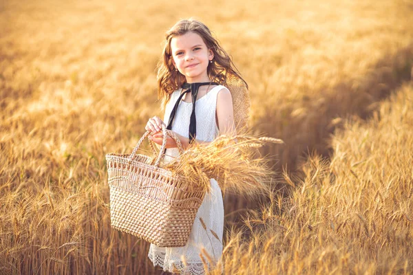 Buğday tarlasında beyaz elbiseli ve hasır şapkalı küçük bir kızın moda fotoğrafı.