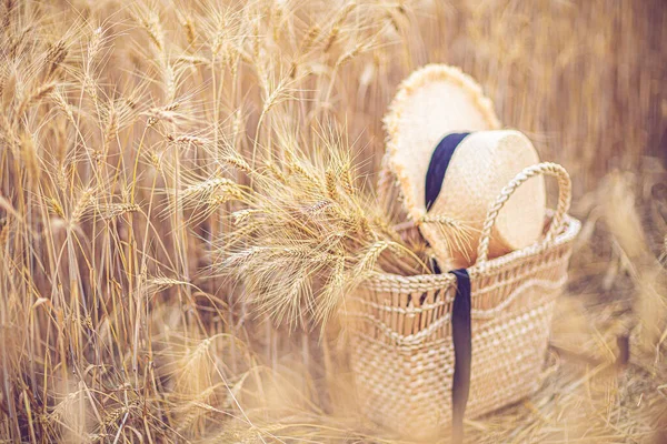 Concepto de moda moderna con sombrero de paja, bolsa en el campo de trigo — Foto de Stock