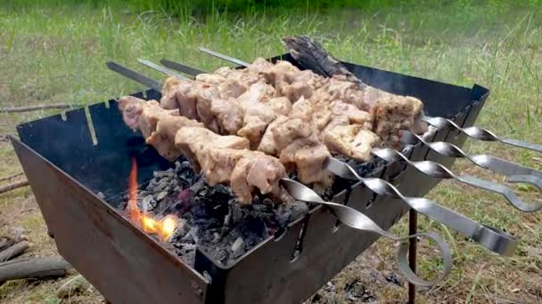 Cozinha de kebab grelhado em espeto de metal. Carne assada cozida no churrasco. Prato oriental tradicional, kebab shish. Grill em carvão e chama, piquenique, comida de rua — Vídeo de Stock