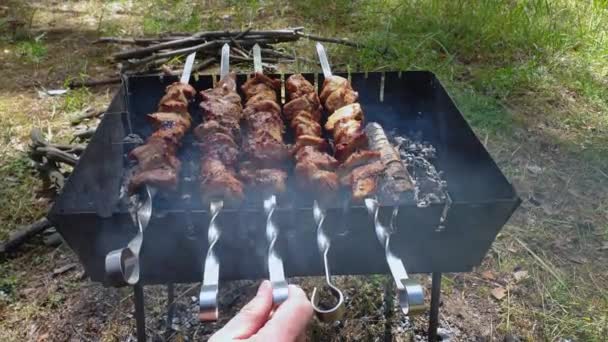 Cocción a la parrilla de kebab en pincho de metal. Carne asada cocinada en barbacoa. Plato oriental tradicional, shish kebab. Parrilla en carbón y llama, picnic, comida callejera — Vídeos de Stock