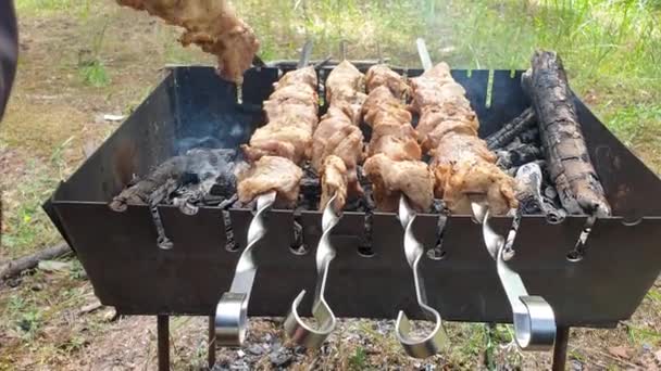 Grilovaný kebab na kovové špejli. Pečené maso uvařené na grilu. Tradiční východní jídlo, shish kebab. Gril na dřevěném uhlí a plameni, piknik, pouliční jídlo