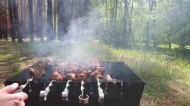 Metal şişte pişen ızgara kebap. Barbeküde pişmiş et. Geleneksel doğu yemeği, şiş kebap. Kömür ve alevler üzerine ızgara, piknik, sokak yemekleri