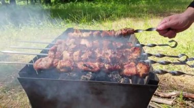 Metal şişte pişen ızgara kebap. Barbeküde pişmiş et. Geleneksel doğu yemeği, şiş kebap. Kömür ve alevler üzerine ızgara, piknik, sokak yemekleri