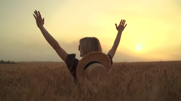 Backview of woman in animal print dress, straw hat holding her arms up, standing in front of Sun with pleasure in middle of wheat field, enjoying summer holidays — Stock Video