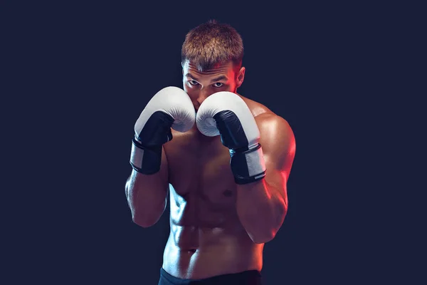 Aggressive shirtless boxer on grey background.