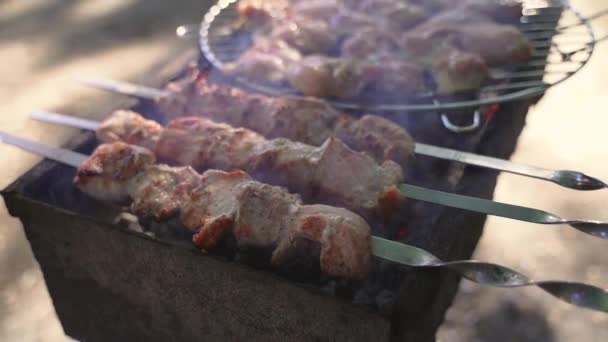 Cottura kebab alla griglia su spiedino di metallo. Carne arrosto cotta al barbecue. Piatto tradizionale orientale, shish kebab. Griglia su carbone e fiamma, picnic, street food — Video Stock