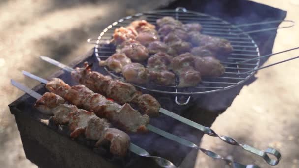 Cozinha de kebab grelhado em espeto de metal. Carne assada cozida no churrasco. Prato oriental tradicional, kebab shish. Grill em carvão e chama, piquenique, comida de rua — Vídeo de Stock
