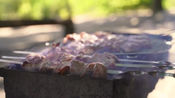 Cocción a la parrilla de kebab en pincho de metal. Carne asada cocinada en barbacoa. Plato oriental tradicional, shish kebab. Parrilla en carbón y llama, picnic, comida callejera — Vídeo de stock