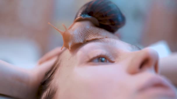 Una mujer joven es tratada en casa usando los caracoles Achatina gigantes. Beneficios y rejuvenecimiento de la piel facial — Vídeo de stock