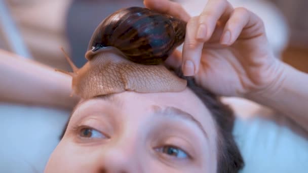 Uma jovem é tratada em casa usando os caracóis gigantes Achatina. Benefícios e rejuvenescimento da pele facial — Vídeo de Stock