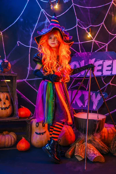 Malá krásná dívka v kostýmu čarodějnice slaví Happy Halloween party v interiéru s dýněmi — Stock fotografie