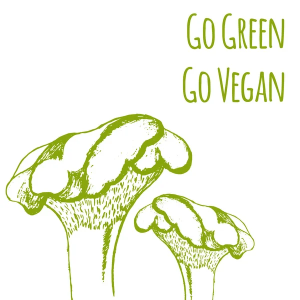 Setas Dibujadas Mano Ilustración Vectorial Seta Vectorial Verde Vegano Etiqueta — Vector de stock